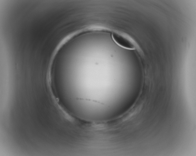 X0000114431191200910231227