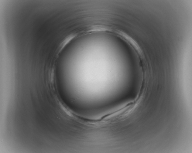 X0000114431193200910231227