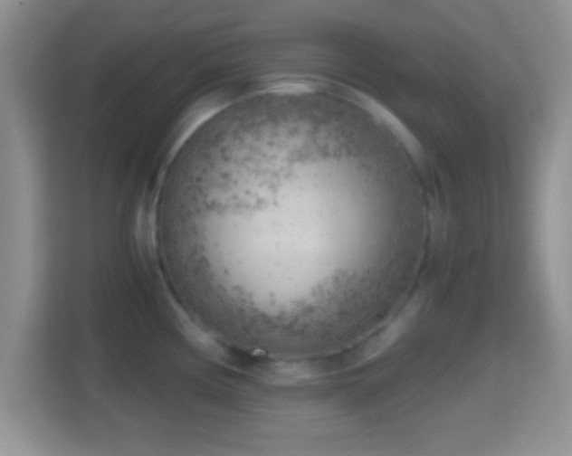 X0000114431194200910231227