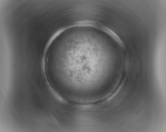 X0000114431196200910231227