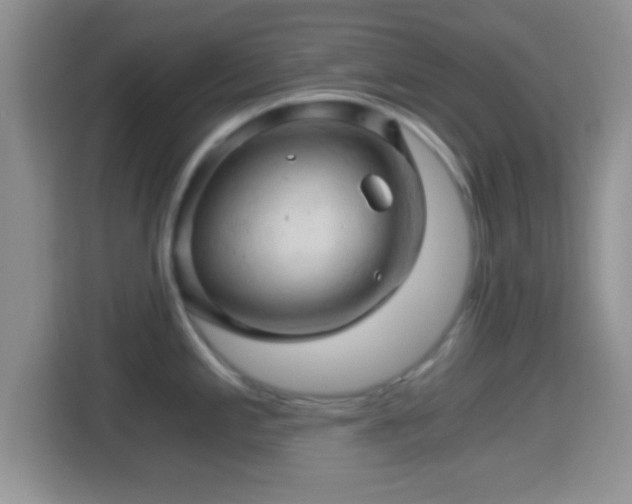 X0000114431197200910231227