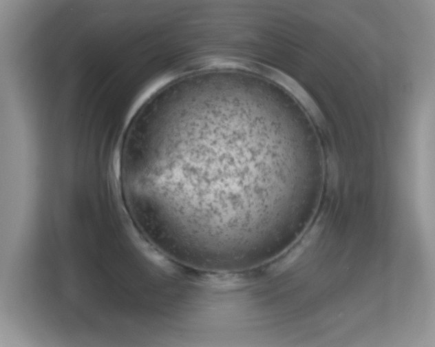X0000114431198200910231227