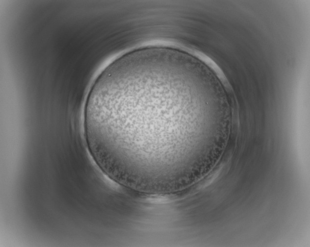 X0000114431199200910231227
