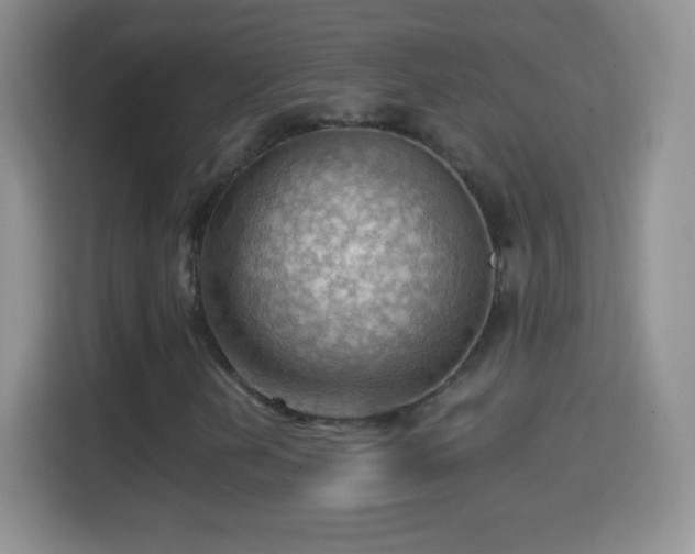 X0000114431202200910231227