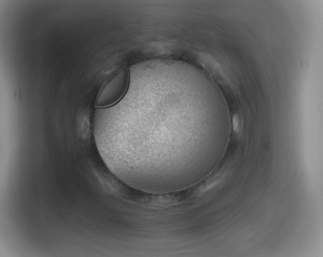X0000114431203200910231227