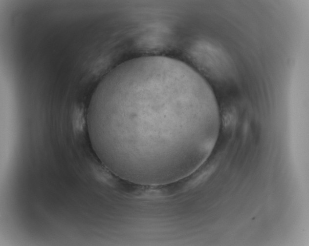 X0000114431204200910231227