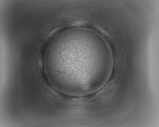 X0000114431206200910231227