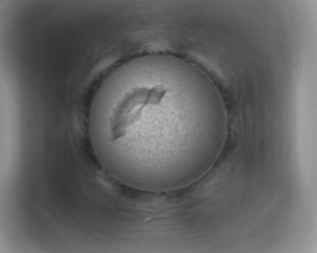 X0000114431207200910231227