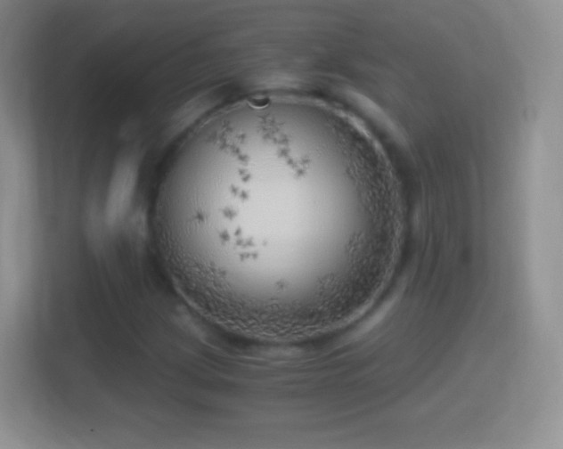X0000114431209200910231227