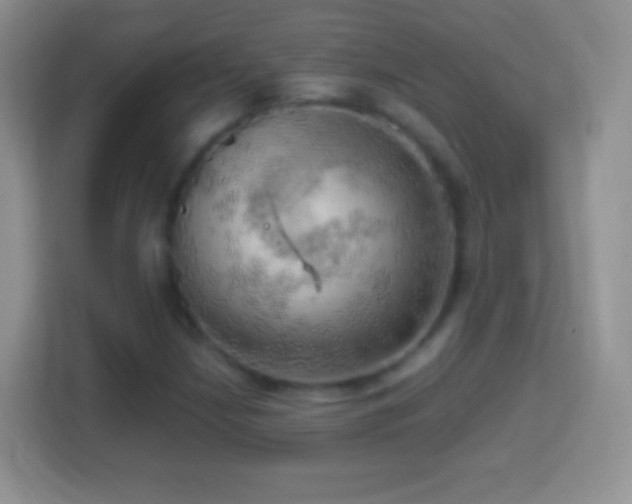 X0000114431210200910231227