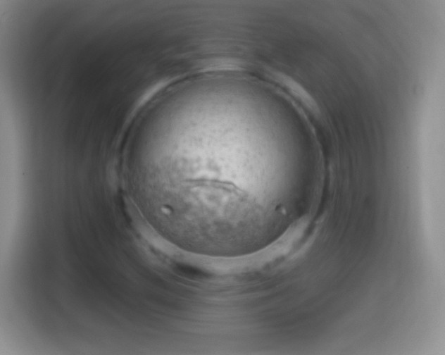 X0000114431212200910231227