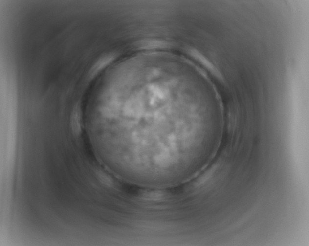 X0000114431213200910231227