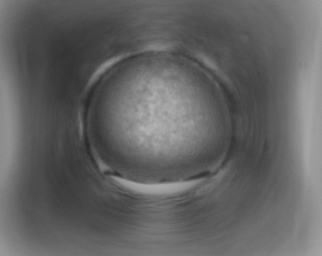 X0000114431214200910231227