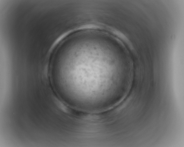 X0000114431216200910231227
