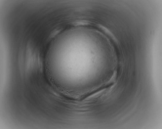 X0000114431217200910231227