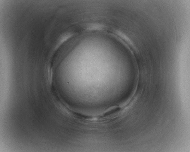 X0000114431219200910231227