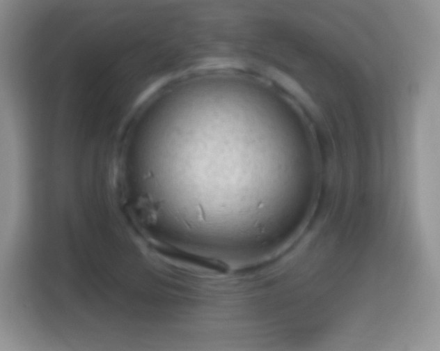 X0000114431220200910231227