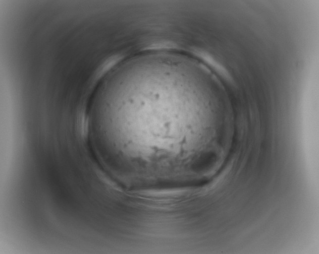 X0000114431221200910231227