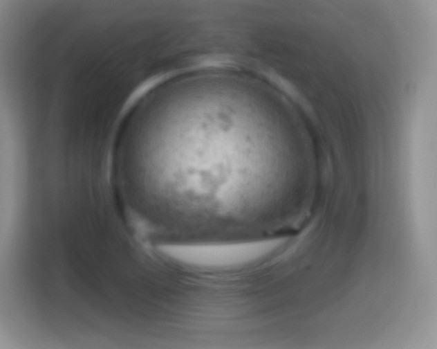 X0000114431222200910231227