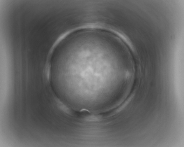 X0000114431224200910231227