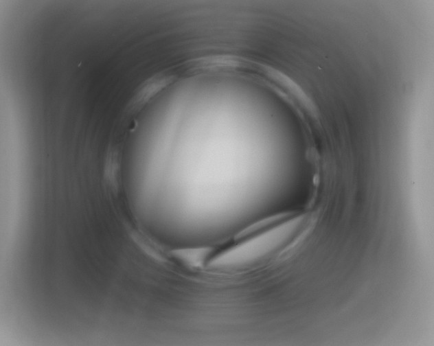 X0000114431225200910231227