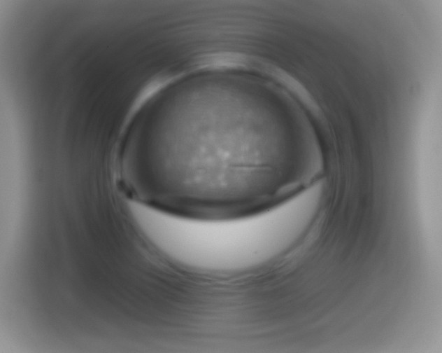 X0000114431226200910231227