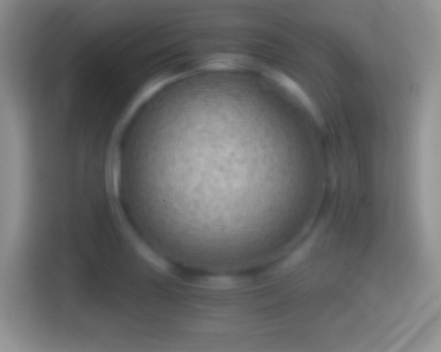 X0000114431227200910231227