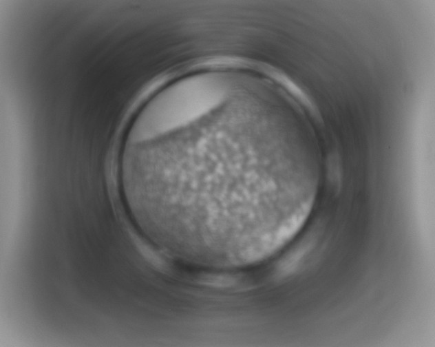 X0000114431229200910231227