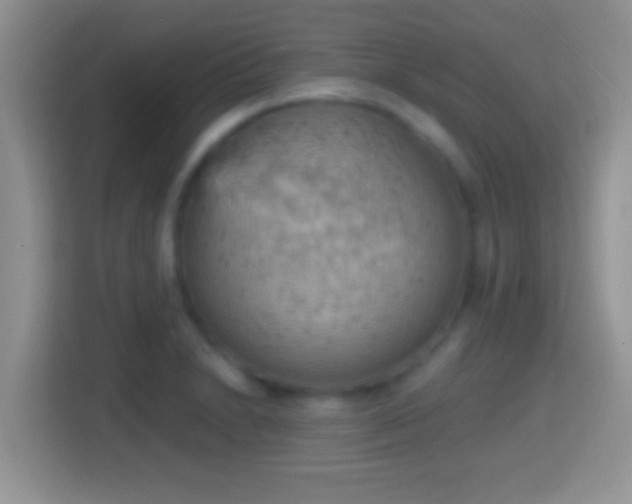 X0000114431230200910231227