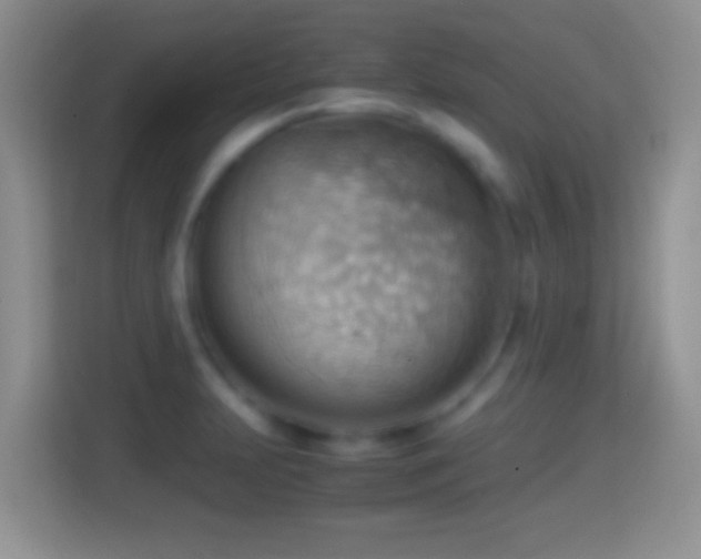 X0000114431231200910231227