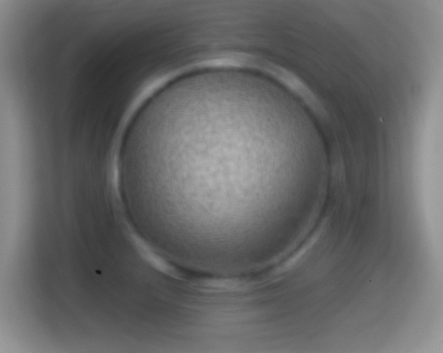 X0000114431232200910231227