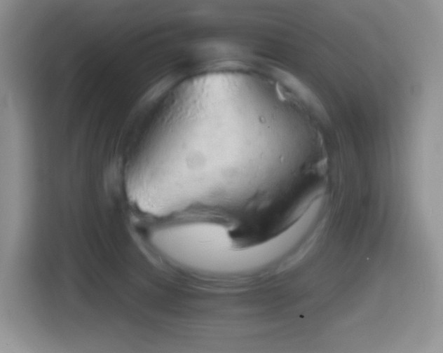 X0000114431233200910231227