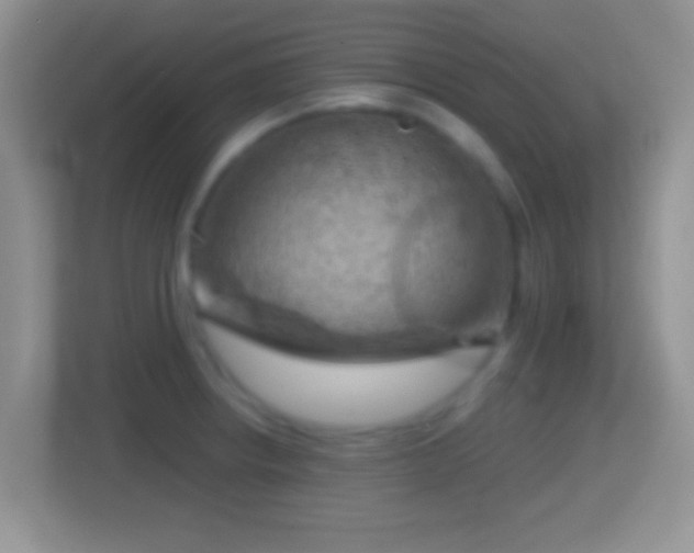 X0000114431234200910231227
