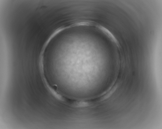 X0000114431235200910231227