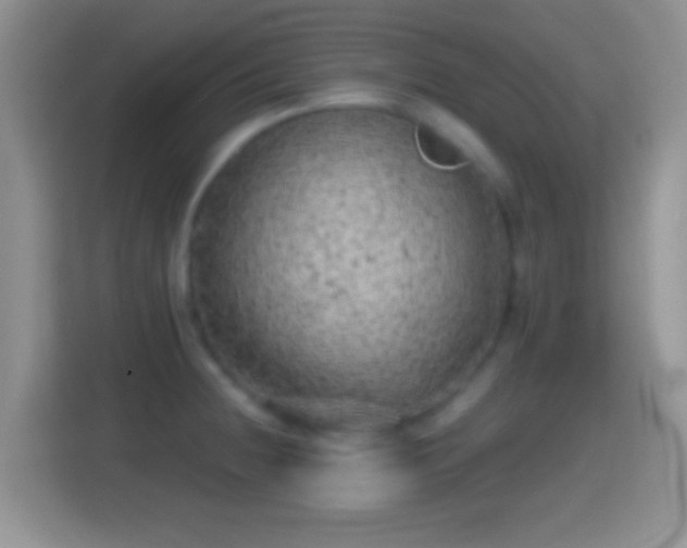 X0000114431236200910231227