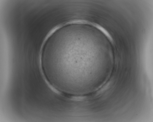 X0000114431237200910231227