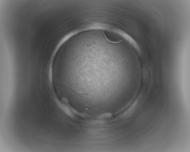 X0000114431238200910231227