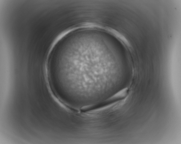 X0000114431239200910231227