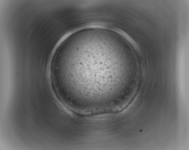 X0000114431240200910231227