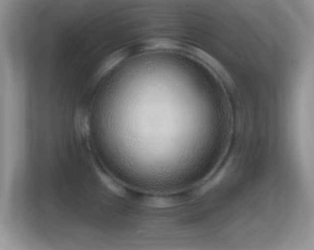 X0000114431241200910231227