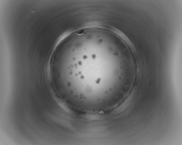X0000114431242200910231227