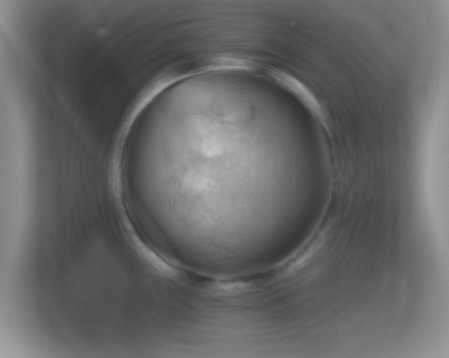 X0000114431243200910231227