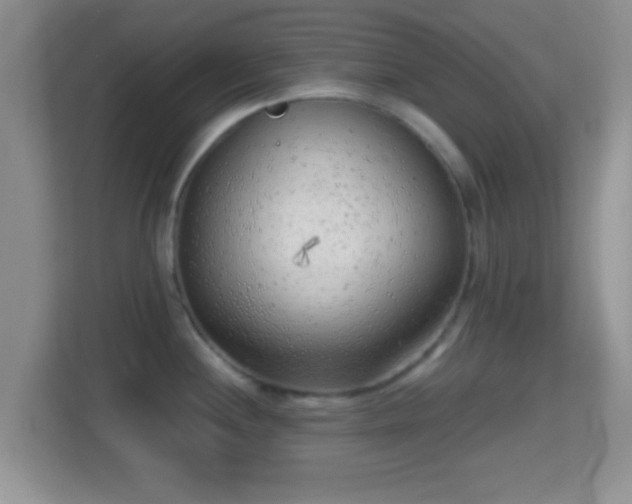 X0000114431244200910231227
