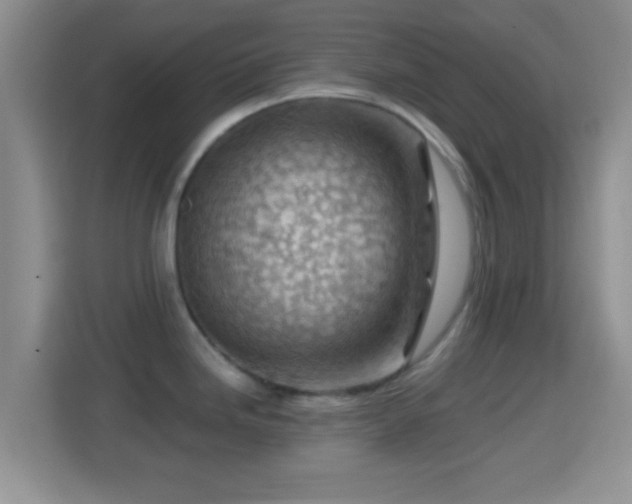 X0000114431246200910231227