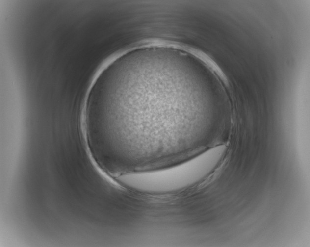 X0000114431247200910231227