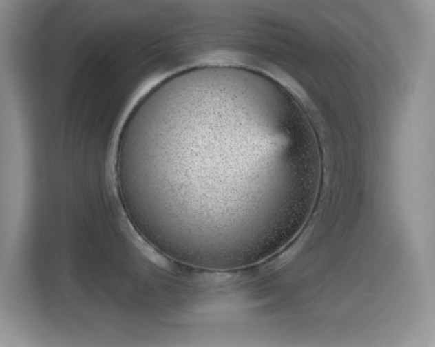 X0000114431248200910231227