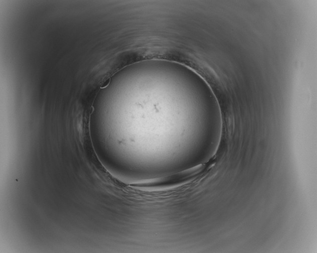 X0000114431250200910231227