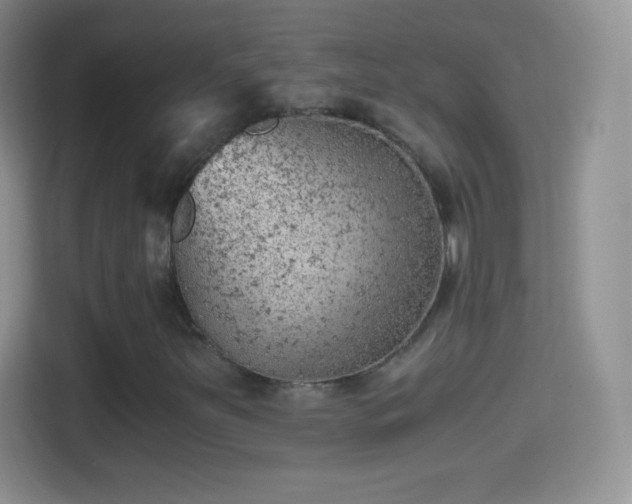 X0000114431251200910231227