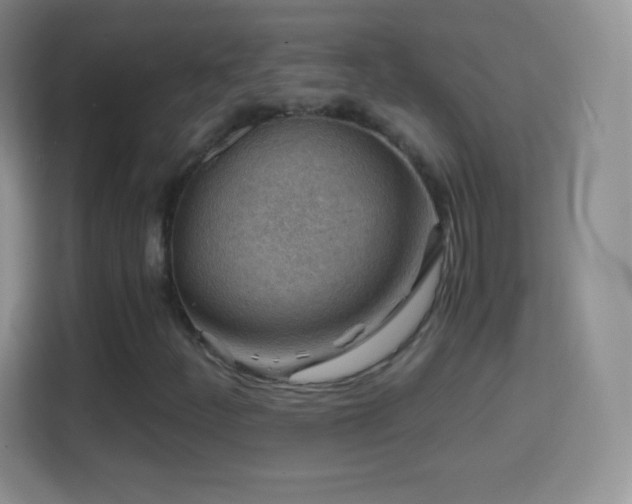 X0000114431252200910231227