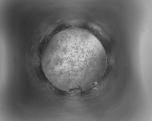 X0000114431253200910231227